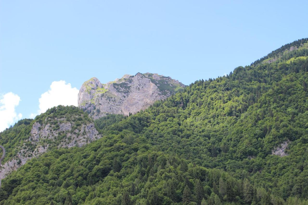 Durmi E Insumiasci Bed & Breakfast Forni Avoltri Bagian luar foto